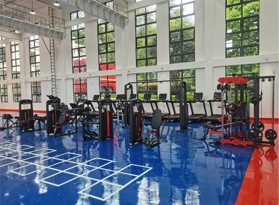 1750319116671252.jpg 4.jpg