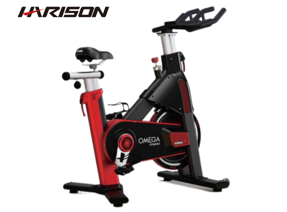 动感单车OMEGA B3820eco